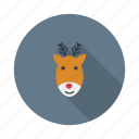 deer, elk, face, head, reindeer, rudolph, xmas 