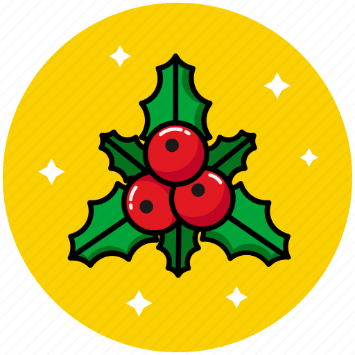 Christmas, decoration, mistletoe, nature, ornament icon - Download on Iconfinder