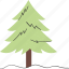 plant, tree, christmas tree 