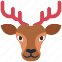 christmas, deer, animal, reindeer