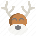 reindeer, deer, animal, wildlife, christmas
