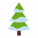 tree, pine, christmas, decoration, xmas