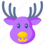 reindeer, arctic deer, antler, animal, wildlife 