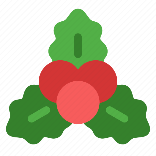 Mistletoe, christmas, ornament icon - Download on Iconfinder