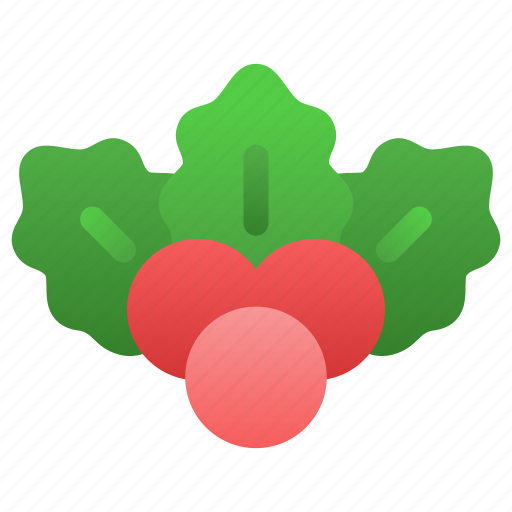 Mistletoe, christmas, decoration icon - Download on Iconfinder