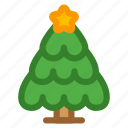 christmas tree, star, forest