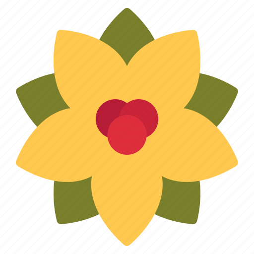 Poinsettia, flower, decoration, rose, garden, blossom, floral icon - Download on Iconfinder