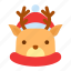 rudolf, reindeer, deer, animal, nose, santa, sleigh, santa claus, red nose 