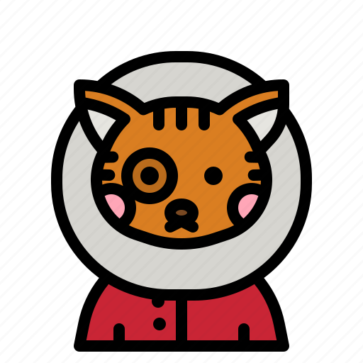 Cat, animal, christmas, user, avatar icon - Download on Iconfinder