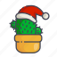 cactus, christmas, new year, potted plant 