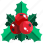 christmas, decoration, mistletoe, nature, ornament 