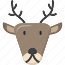 reindeer, deer, christmas, winter