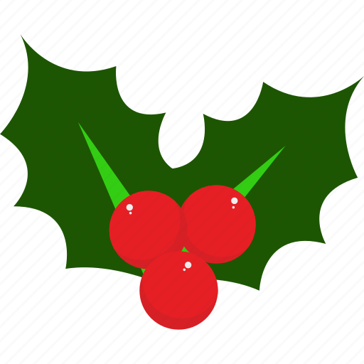 Holly, christmas, decoration, winter, celebration, traditional, culture icon - Download on Iconfinder