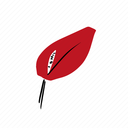 Anthurium, christmas flower, gift, leaf, red, winter icon - Download on Iconfinder