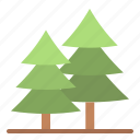 christmas, ornament, pine, tree, xmas