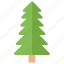 coniferous tree, fir tree, nature, pine tree, poplar tree 