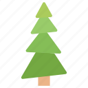 coniferous tree, fir tree, nature, pine tree, poplar tree