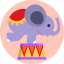 circus, performance, elephant, show