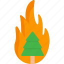 burning, conflagration, disaster, fire, forest, tree