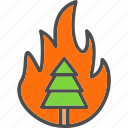 burning, conflagration, disaster, fire, forest, tree