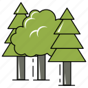 climate, crisis, environment, forest, green, nature, tree