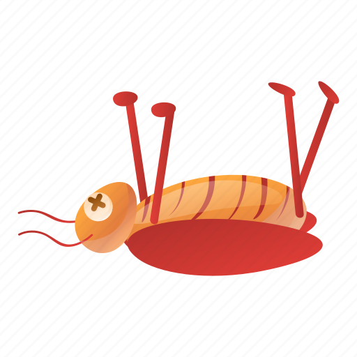 Animal, brown, cockroach, dead, face, nature icon - Download on Iconfinder