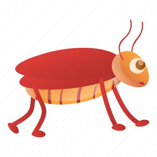 Animal, biology, bug, cockroach, nature, pest icon - Download on Iconfinder