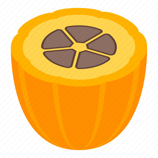 Cartoon, cocoa, flower, fruit, half, isometric, tree icon - Download on Iconfinder