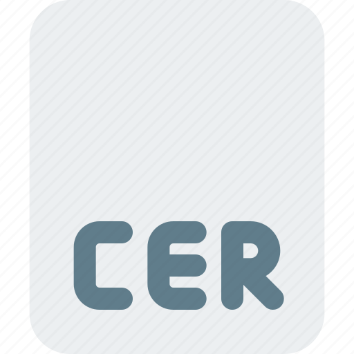 Cer, coding, files, programming icon - Download on Iconfinder