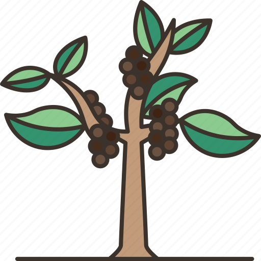 Coffee, tree, plantation, grow, harvest icon - Download on Iconfinder
