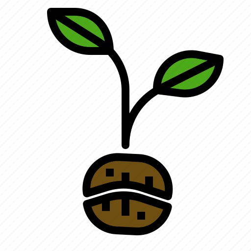 Bean, coffee, grow, planting, seed, tree icon - Download on Iconfinder