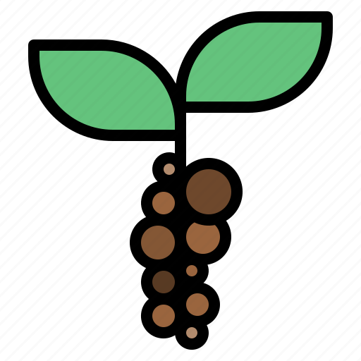 Beans, coffee, coffee shop, drink, plant, shop icon - Download on Iconfinder