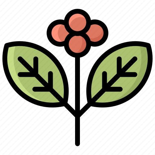 Coffee tree, bean, arabica, coffee, plant, nature, robusta icon - Download on Iconfinder