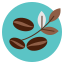 bean, coffee, leaf, leave 