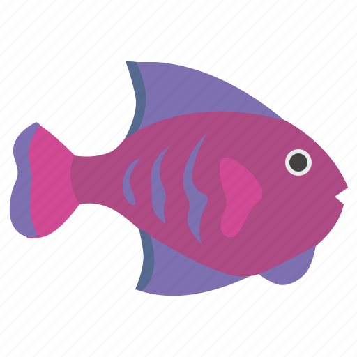 Aquarium, breath, decorative, fish, type icon - Download on Iconfinder
