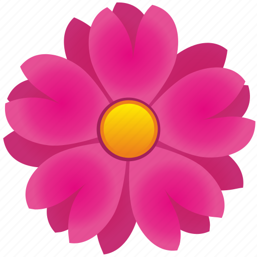 Astra, flower, nature, petals icon - Download on Iconfinder