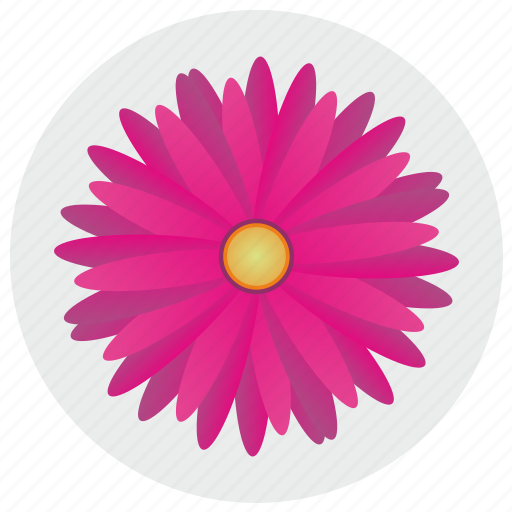 Flower, round, nature, petals icon - Download on Iconfinder