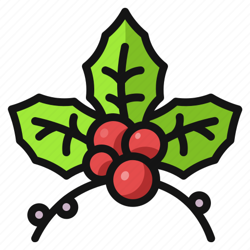 Christmas, decoration, holiday, mistletoe, plant icon - Download on Iconfinder