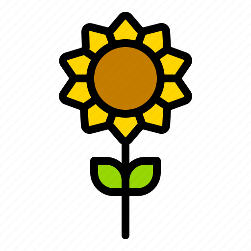 Autumn, fall, floral, flower, sunflower, thanksgiving icon - Download on Iconfinder