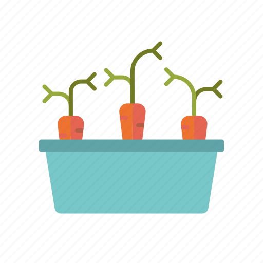 Carrots, equipment, garden, gardening, planter, vegetaables icon - Download on Iconfinder