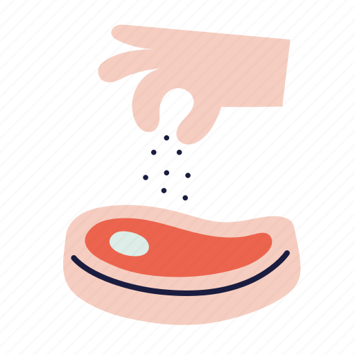 Steak, meat, food, beef, salt, spice, pepper icon - Download on Iconfinder