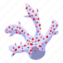 cartoon, coral, dotted, fashion, isometric, red, white