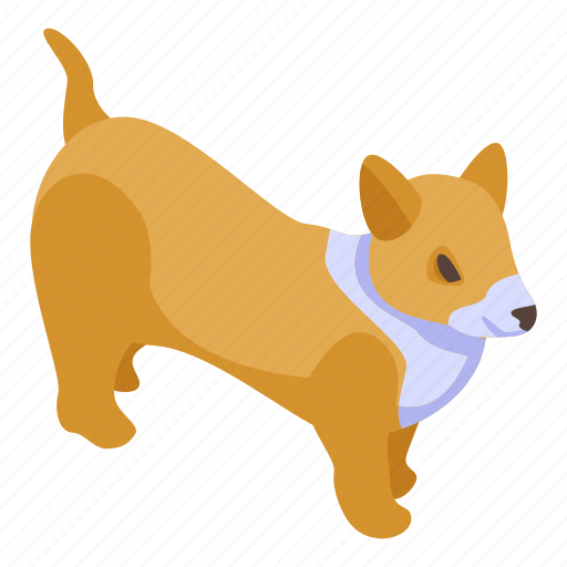 Baby, cartoon, corgi, dog, funny, isometric, logo icon - Download on Iconfinder