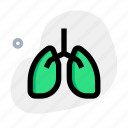 lungs, respiratory, coronavirus, organ