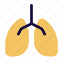 lungs, coronavirus, respiratory, covid