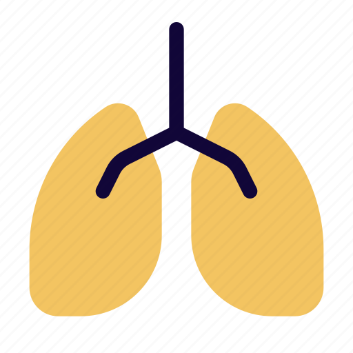 Lungs, coronavirus, respiratory, covid icon - Download on Iconfinder