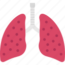 breath, coronavirus, coronavirus lungs, pulmonology