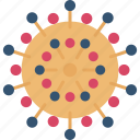 coronavirus, covid19, disease, virus
