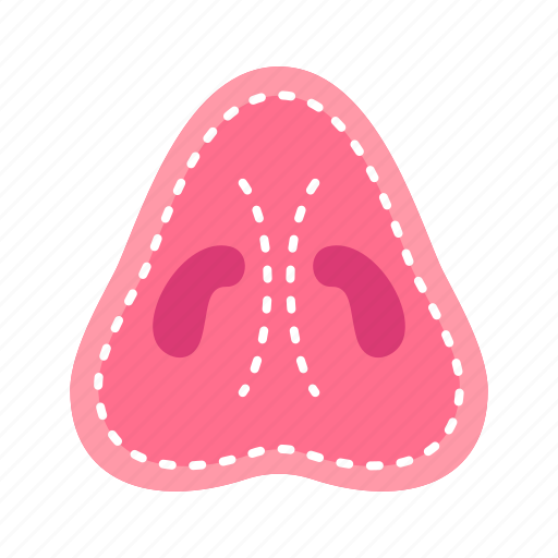 Beauty, nose, organ, surgery, wings icon - Download on Iconfinder