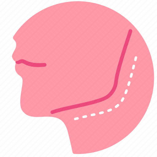 Beauty, cutting, jaw, organ, plastic, surgery icon - Download on Iconfinder